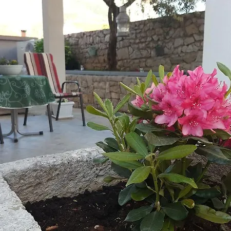 Apartamento Red Coral *